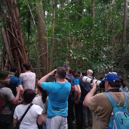 Tangkoko Backpacker Home Stay Rinondoran Dış mekan fotoğraf