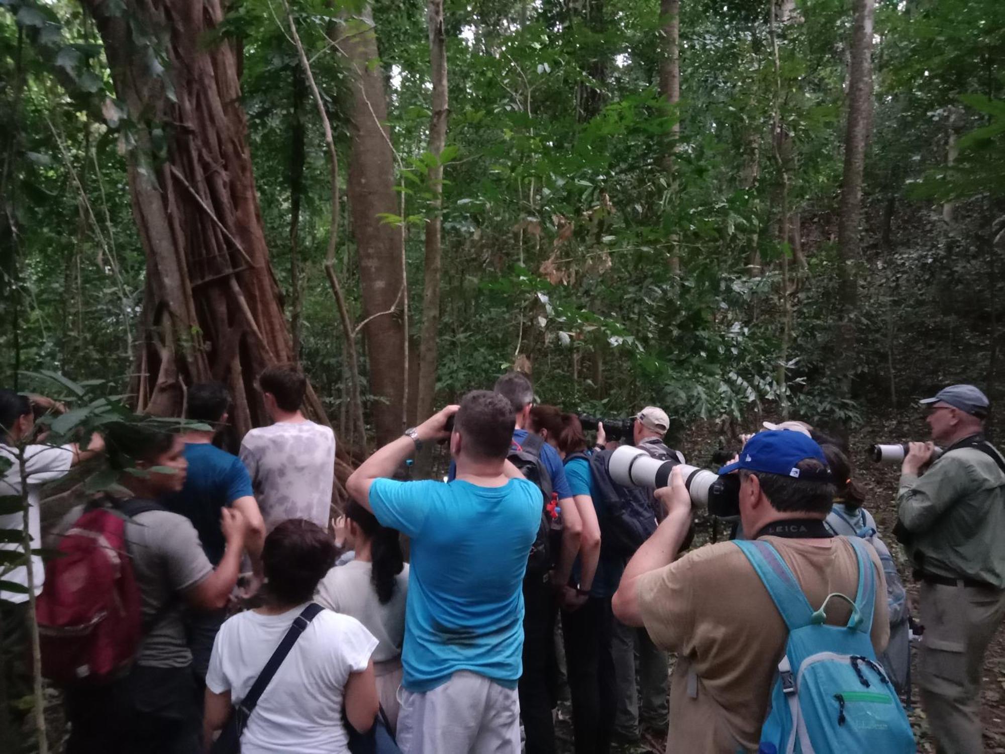 Tangkoko Backpacker Home Stay Rinondoran Dış mekan fotoğraf